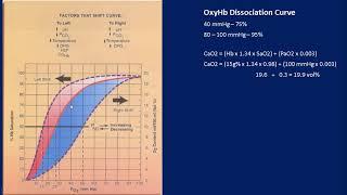 O2Hb Dissociation Curve - Basics