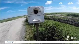 Barn Owls Proving Key to Sustainable Farming | Florida Crystals®