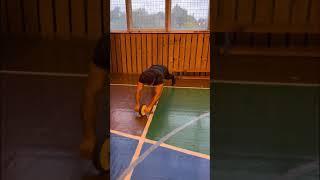 Core challenge    Subscribe for more ️