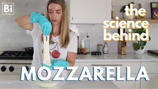 THE SCIENCE BEHIND FRESH MOZZARELLA: Polarity & Intermolecular Forces [learn science through food]