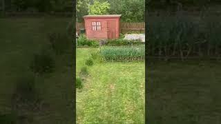УДачные хлопоты