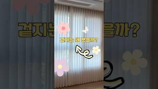 겉지없이 커튼시공??속지하나로 거실변신 미니멀 인테리어 끝판왕