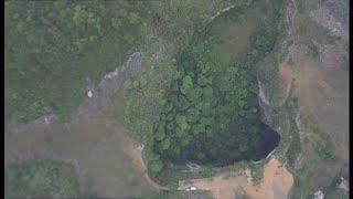 Huge ancient forest world discovered 630ft down sinkhole in China -- 22/Nov/2024