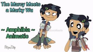 The Marcy Meets a Marky Wu (Amphibia Animatic)