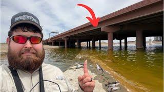 Fishing the Most POLLUTED Lake in Arizona...