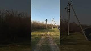 1 апреля 2023 г.