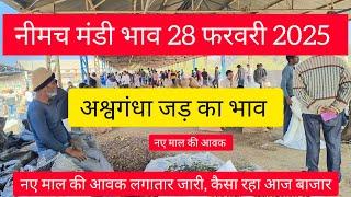 Ashwagandha neemuch mandi bhav 28 February, 2025 #ashwagandha #neemuchmandibhav #ashwagandhabhav