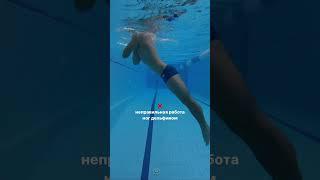 Школа плавания Let’s swim, обучение плаванию для взрослых Санкт Петербург (Спб) #шортс