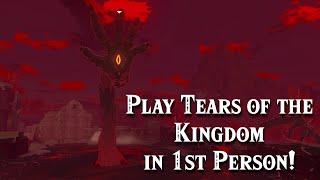 How to Play Tears of the Kingdom in First Person!