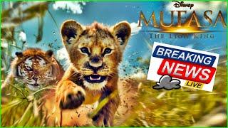 Mufasa o rei Leão Novo filme de ação Aventura Vai ter Inicio Nada Atrativo