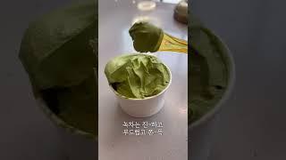 강릉 젤라또 맛집 30초 요약 [순두부젤라또] (한라녹차,제주감귤맛) 강릉가면 꼭 드세요