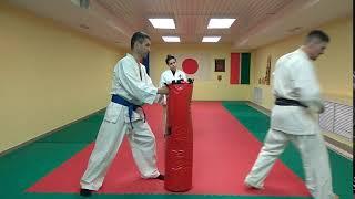 Ushiro-Geri (shihan Robert Hatmullin) Kazan-2