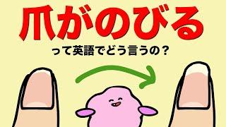 【意外に言えない！】 爪が伸びる/髪の毛が伸びる/背が伸びる/ヒゲが伸びるの「のびる」って英語でどう言うの？ [#393]