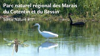 Parc naturel régional des Marais du Cotentin et du Bessin