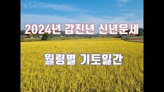 2024년 갑진년 신년운세 - 기토일간