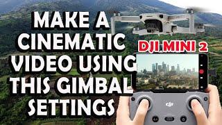 DJI MINI 2 Cinematic settings | Best settings for cine smooth mode | Make your footage cinematic