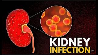 How toProtect Your Kidneys (and Your Wallet)