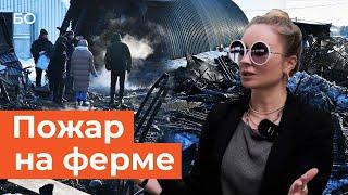 Мигранты сгорели на ферме дочери экс-главы минсельхоза Удмуртии. ЧП в Елабуге