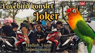 AKSI LOVEBIRD KONSLET JOKER DI EVENT KOPDAR Lovebird NBF bikin perhatian juri