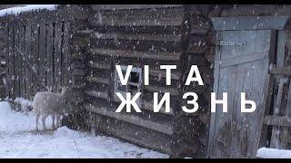 ВИТА | ЖИЗНЬ. Почему девочка решила жить в архангельской деревне