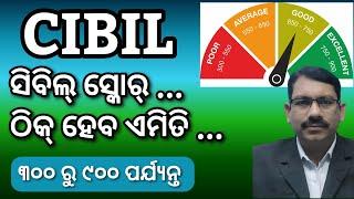 CIBIL SCORE ଠିକ୍ ହେବ କେମିତି, How to improve Cibil score, Credit Score, correct CIBIL score in Odia