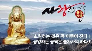 【소원성취기도/Korean Buddhism Temple】금전운 과 소원을 들어주는 불경(지장경)(마음 편안한 곳 /  GwangDeokTemple) #福Tube복튜브 #마음편안한곳