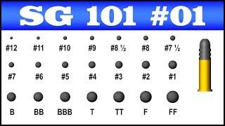 American Shot Sizes part I: Birdshot - Shotguns 101 #1