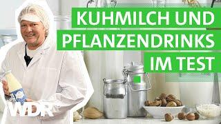 Hafer, Soja, Mandel & Co: Wie gut sind pflanzliche Milch-Alternativen? | Der Vorkoster | WDR