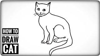 How to Draw a Cat Easy Step by Step