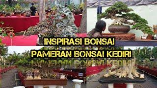Inspirasi Bonsai Di pameran Kontes Bonsai Kediri 2024