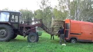 Поездка за сеном на Мерседесе 208 Д.