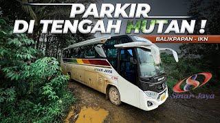 Naik Bus Perintis Ibu Kota Negara (IKN) Sinar Jaya Balikpapan