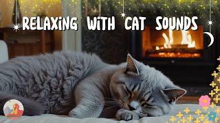 Music For Cats  Soothing Music that Helps Cats Feel Comfortable | Relaxation