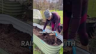 From Planters to Raised Bed #roomtogrow #urbangardeners #loveyourgarden #growyourownfood