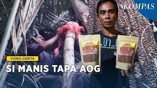 Manisnya Gula Semut dari Perbatasan Taman Nasional Bogani Nani Wartabone