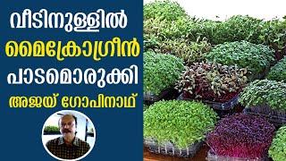 Microgreens At Home | ദിവസവും ഇലക്കറികൾ നമ്മുടെ വീട്ടിൽ തന്നെ ഉണ്ടാക്കിയെടുക്കാം