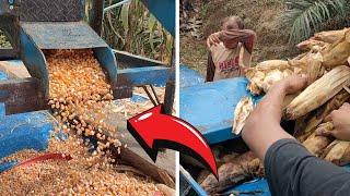 Corn Seed Threshing Machine