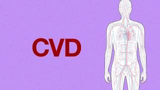 Cardiovascular disease (CVD): What is it? - Arabic