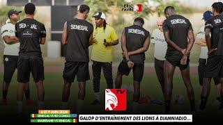 Direct - Première séance d’entraînement des lions du Sénégal à Diamniadio avant la RD Congo