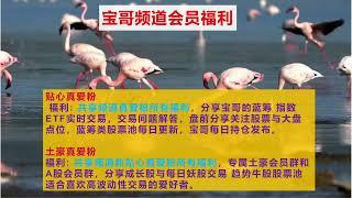 宝哥频道会员福利（福利最新重大升级与更新）