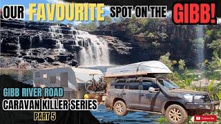 GIBB RIVER ROADS best swimming hole and WATERFALL || AUSTRALIA'S no.1 FREE CAMP || MANNING GORGE