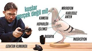 Uzaktan Kumandayla Hayvanları Kontrol Etmek