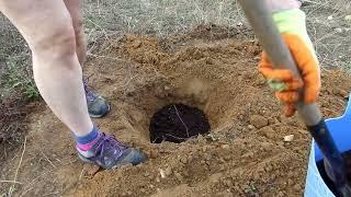 Gardening in Portugal | #1 Planting the Trees on our Land