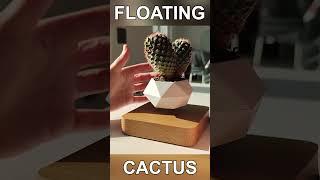 Floating Cactus