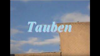 air.port - Tauben (Video)