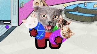 Cat and CREWMATES. Cat animations stories and variations. Compilation non stop