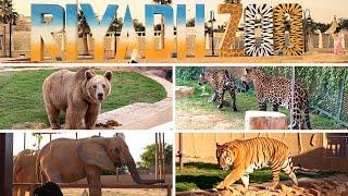 Riyadh Zoo Full tour | Zoo | KSA