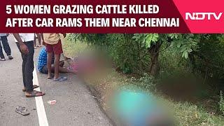 Chennai Accident | 5 Women Grazing Cattle Killed After Car Rams Them Near Chennai