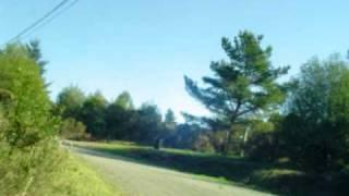 Moonshine Road