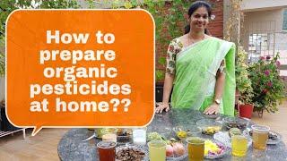 How to prepare organic pesticides at home?ఇంట్లోనే ఆర్గానిక్  పురుగుల మందులు తయారు చేసుకోవడం ఎలా?diy